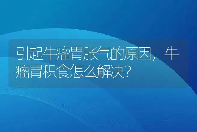 引起牛瘤胃胀气的原因，牛瘤胃积食怎么解决？ | 兽医知识大全