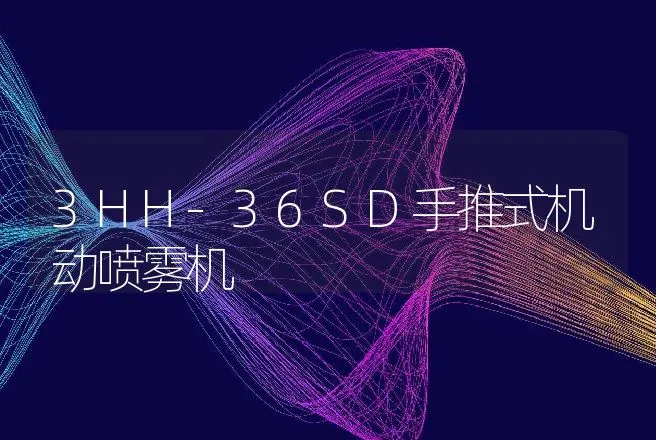 3HH-36SD手推式机动喷雾机 | 养殖