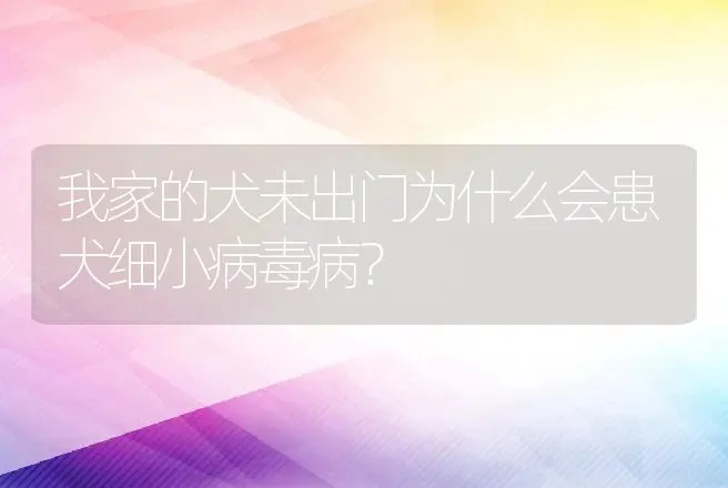 我家的犬未出门为什么会患犬细小病毒病？ | 兽医知识大全