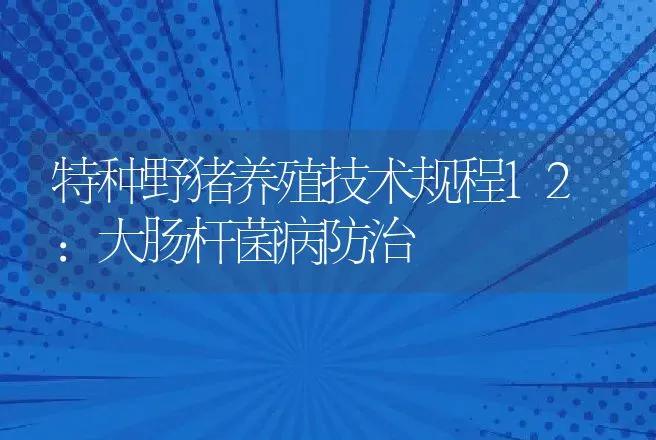 特种野猪养殖技术规程12：大肠杆菌病防治 | 动物养殖