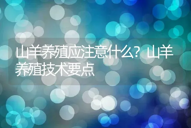 山羊养殖应注意什么？山羊养殖技术要点 | 家畜养殖