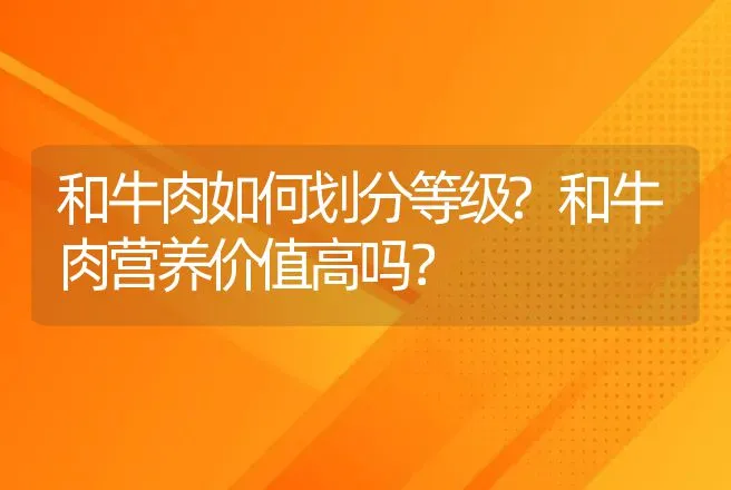 和牛肉如何划分等级?和牛肉营养价值高吗？ | 动物养殖