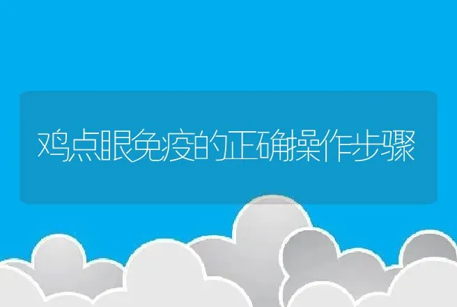 鸡点眼免疫的正确操作步骤 | 动物养殖