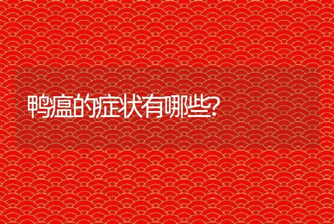 鸭瘟的症状有哪些? | 家禽养殖