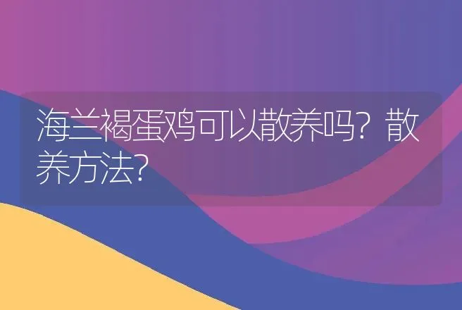 海兰褐蛋鸡可以散养吗？散养方法？ | 家禽养殖