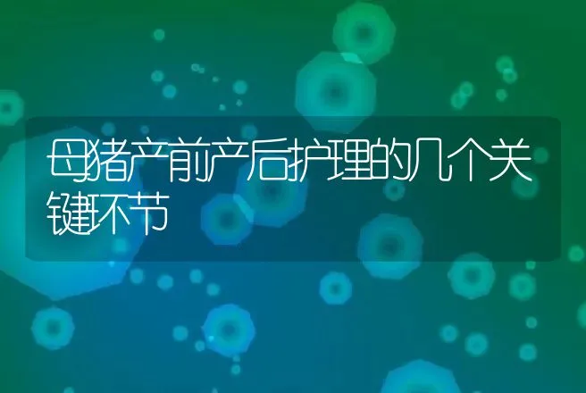 母猪产前产后护理的几个关键环节 | 动物养殖