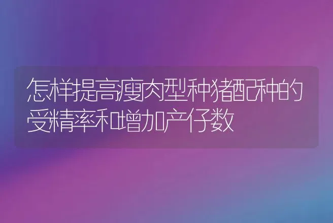 怎样提高瘦肉型种猪配种的受精率和增加产仔数 | 动物养殖