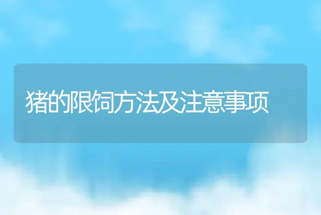 猪的限饲方法及注意事项 | 动物养殖