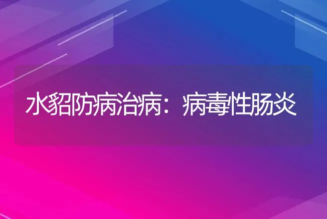 水貂防病治病：病毒性肠炎 | 兽医知识大全