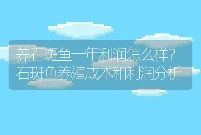 养石斑鱼一年利润怎么样？石斑鱼养殖成本和利润分析 | 养殖致富