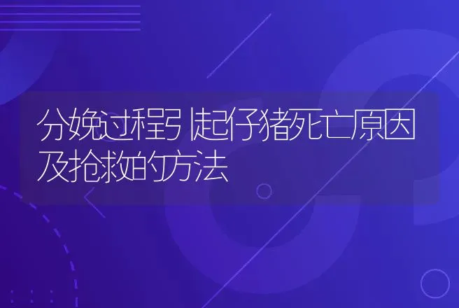 分娩过程引起仔猪死亡原因及抢救的方法 | 动物养殖