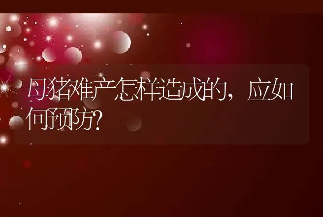 母猪难产怎样造成的，应如何预防？ | 动物养殖