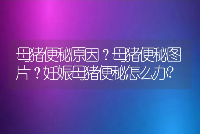 母猪便秘原因？母猪便秘图片？妊娠母猪便秘怎么办? | 兽医知识大全