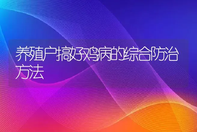 养殖户搞好鸡病的综合防治方法 | 家禽养殖