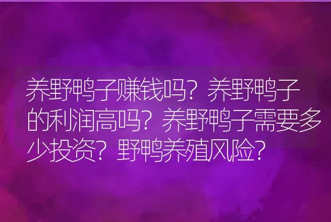 养野鸭子赚钱吗？养野鸭子的利润高吗？养野鸭子需要多少投资？野鸭养殖风险？ | 养殖致富