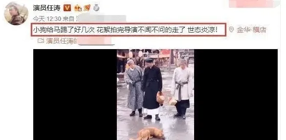 曝光|剧组为拍戏，把狗狗绑起来让马踢引众怒 | 宠物新闻资讯