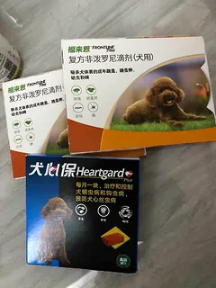 犬心保可以预防心丝虫吗 | 宠物狗病虫害防治