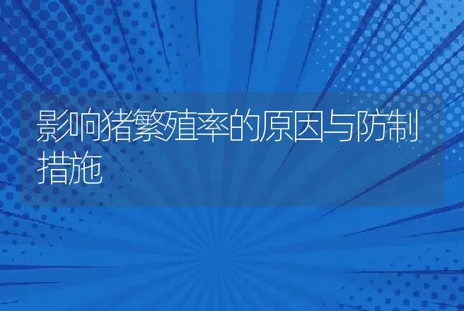 影响猪繁殖率的原因与防制措施 | 动物养殖