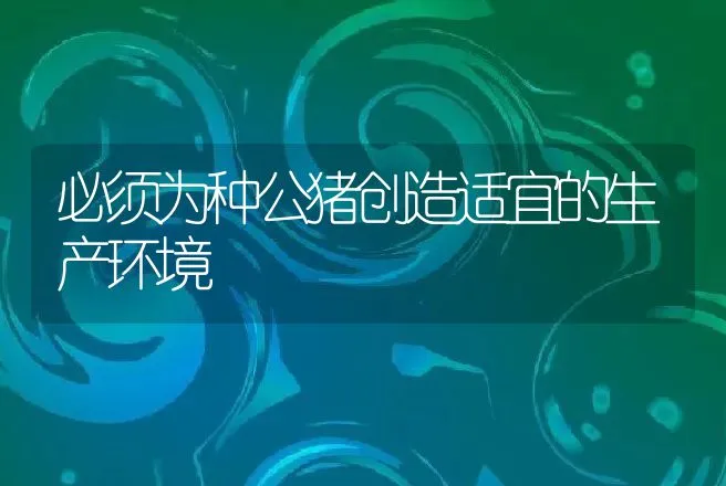 必须为种公猪创造适宜的生产环境 | 动物养殖