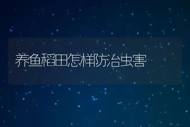 养鱼稻田怎样防治虫害 | 动物养殖