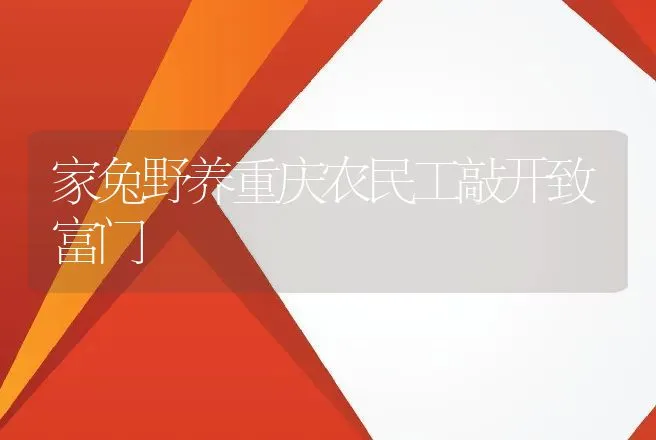 两头乌猪肉营养价值？怎么辨别两头乌猪肉？两头乌猪是瘦肉型猪吗？ | 动物养殖