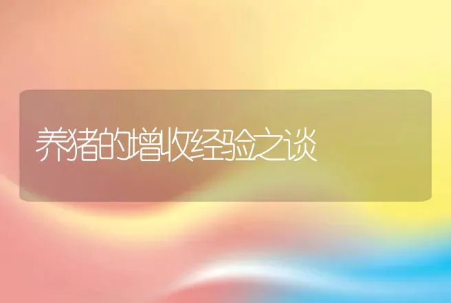 养猪的增收经验之谈 | 动物养殖