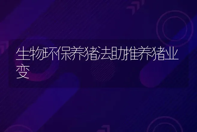 鸡种蛋孵化不可忽视的两个时期 | 动物养殖