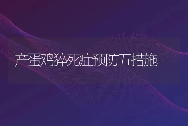 产蛋鸡猝死症预防五措施 | 兽医知识大全