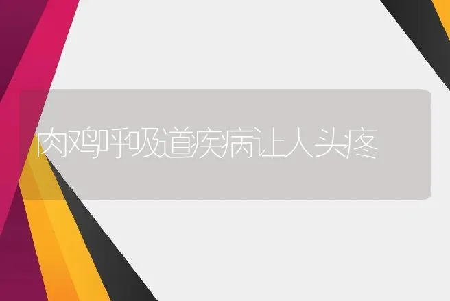 肉鸡呼吸道疾病让人头疼 | 动物养殖