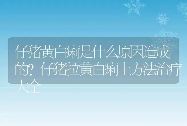 仔猪黄白痢是什么原因造成的?仔猪拉黄白痢土方法治疗大全 | 兽医知识大全