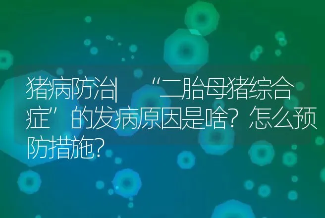 猪病防治|“二胎母猪综合症”的发病原因是啥？怎么预防措施？ | 家畜养殖