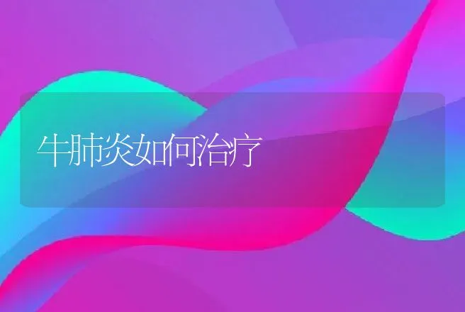 牛肺炎如何治疗 | 家畜养殖