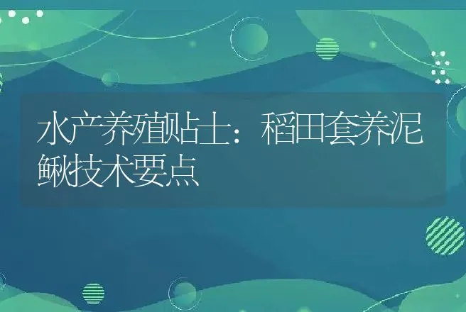 水产养殖贴士：稻田套养泥鳅技术要点 | 水产知识