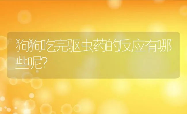 狗狗吃完驱虫药的反应有哪些呢？ | 宠物猫