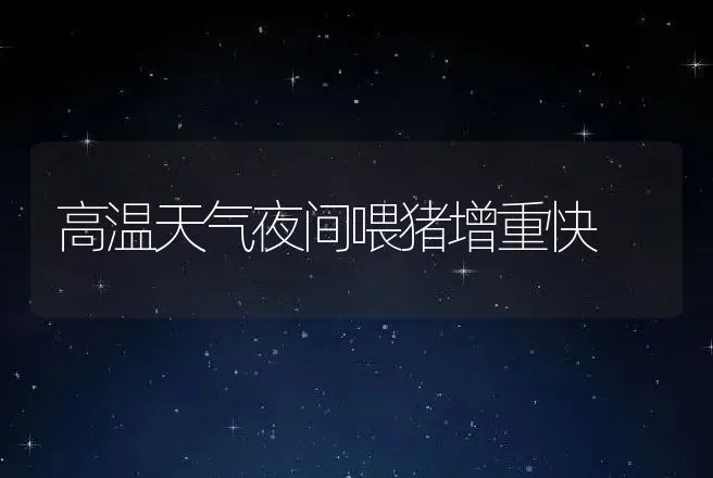 高温天气夜间喂猪增重快 | 动物养殖