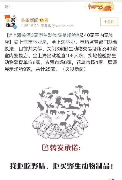 在新型肺炎疫情蔓延下，养宠这件事更要理性 | 宠物新闻资讯