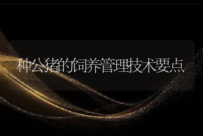 种公猪的饲养管理技术要点 | 动物养殖