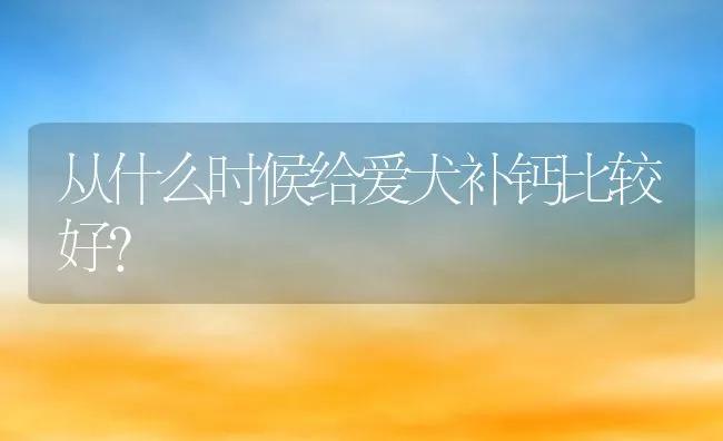 从什么时候给爱犬补钙比较好？ | 宠物趣闻