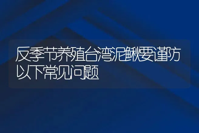 反季节养殖台湾泥鳅要谨防以下常见问题 | 水产知识