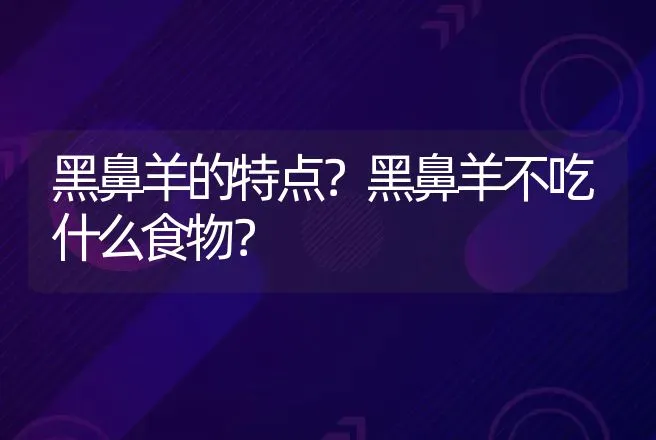 黑鼻羊的特点？黑鼻羊不吃什么食物？ | 家畜养殖