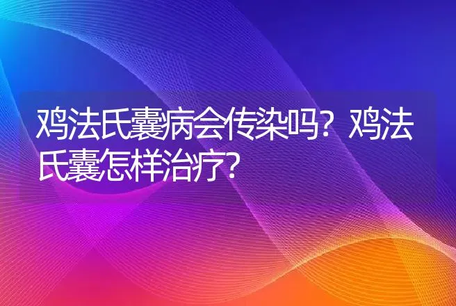 鸡法氏囊病会传染吗？鸡法氏囊怎样治疗？ | 兽医知识大全