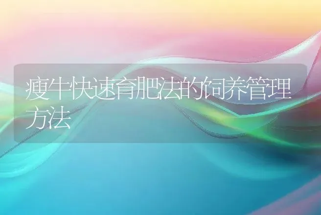 瘦牛快速育肥法的饲养管理方法 | 家畜养殖