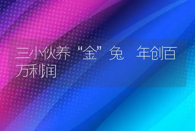 三小伙养“金”兔 年创百万利润 | 养殖致富