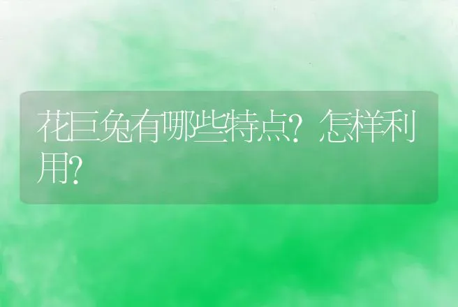 花巨兔有哪些特点?怎样利用? | 动物养殖