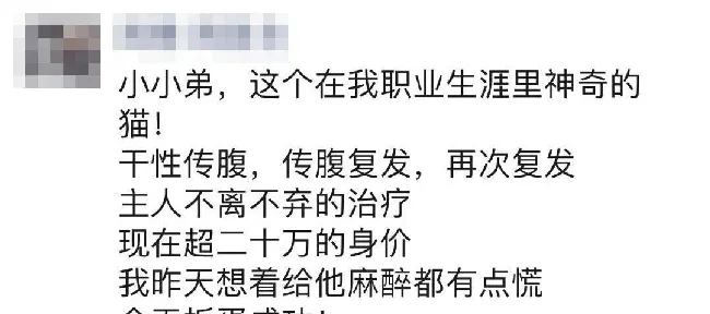 你需要这样为猫预防生病 | 宠物训练技巧