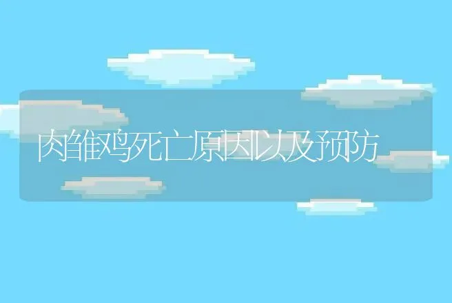 肉雏鸡死亡原因以及预防 | 动物养殖