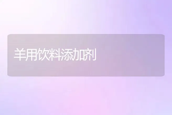 羊用饮料添加剂 | 动物养殖