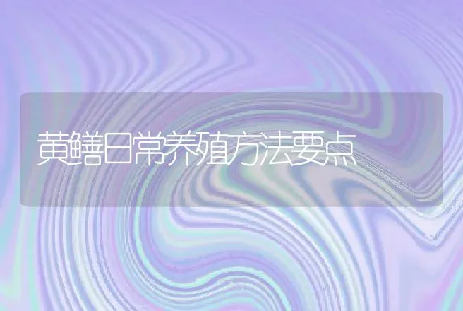 黄鳝日常养殖方法要点 | 动物养殖