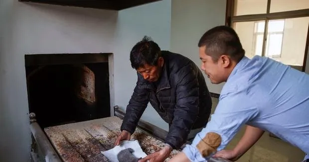 宠物视你为自己生命中的唯一，死后都要被虫子啃食 | 宠物新闻资讯