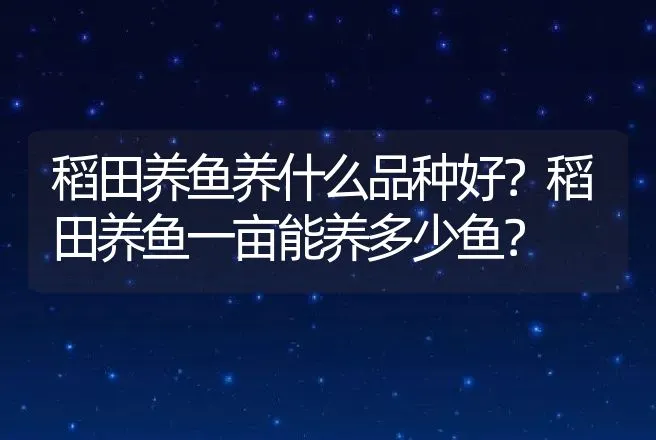 稻田养鱼养什么品种好？稻田养鱼一亩能养多少鱼？ | 水产知识